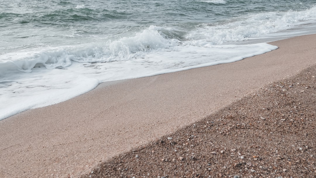 brown sand near body of water during daytime