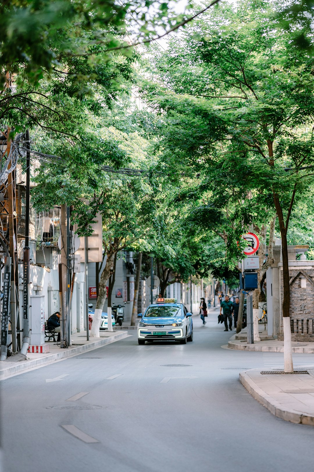a car driving down a tree lined street