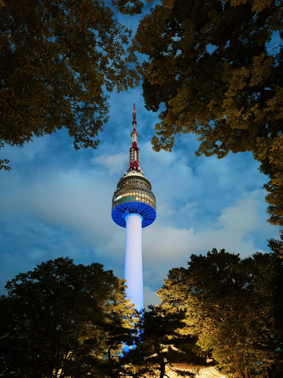 A tall tower illuminated at night with trees framing it