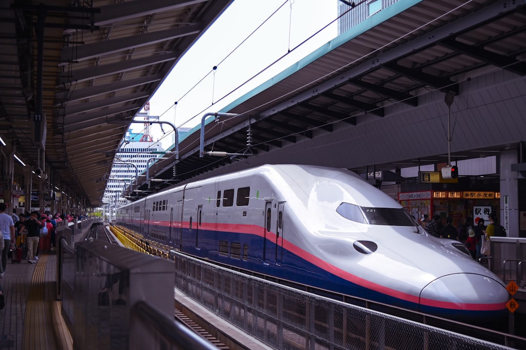 people in train station showing white and blue train