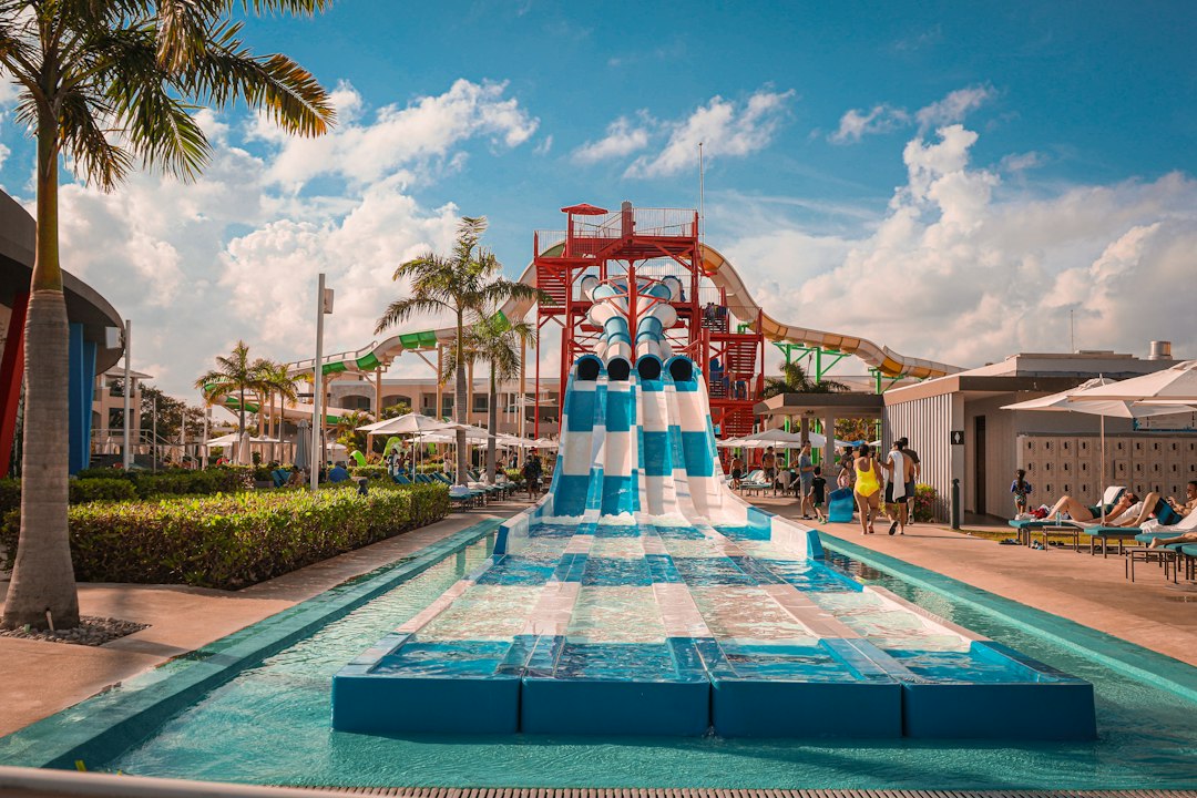 A water park with a water slide and palm trees