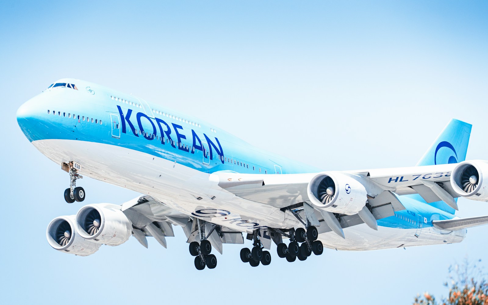 A korean air plane takes flight from the sky